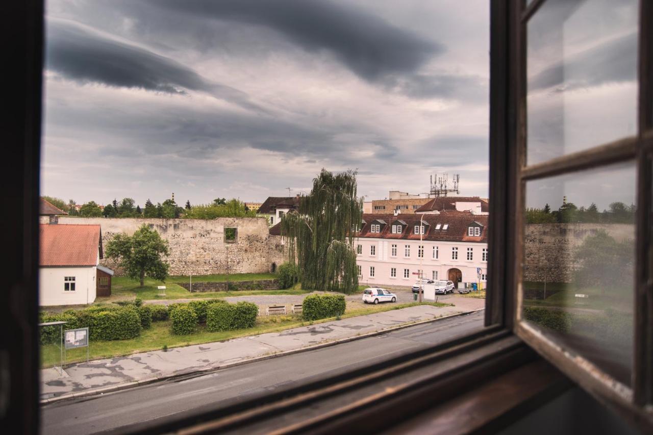 Guesthouse Zlaty Hrozen Ческа-Липа Экстерьер фото